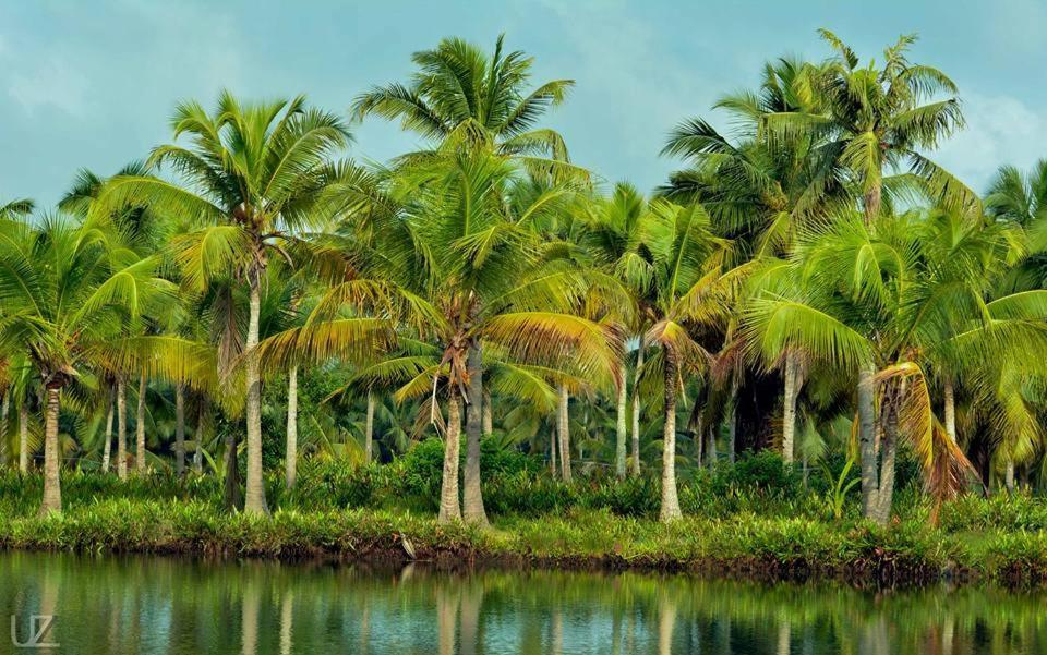 Апартаменты Munroe Meadows Mundrothuruth Экстерьер фото