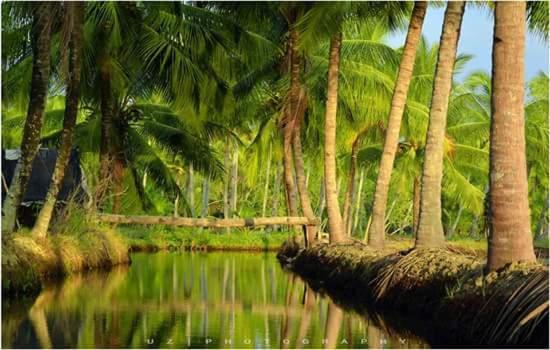Апартаменты Munroe Meadows Mundrothuruth Экстерьер фото